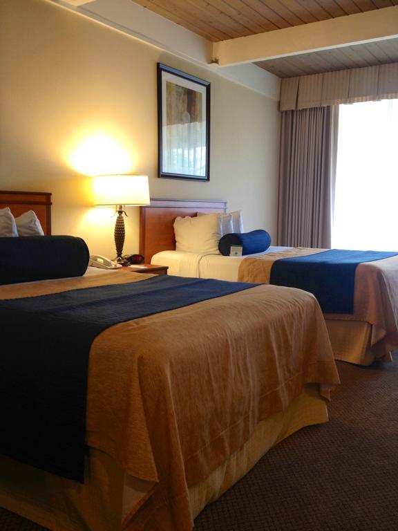 Mikado Hotel Los Angeles Pokój zdjęcie